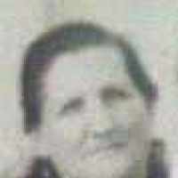 Thereza Maria Dambrosio